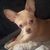 Suzanne Lamont Mastison's profile image