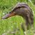 John Watson's profile image