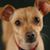 Gail Mahovlich's profile image