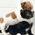 Jane Cindrich's profile image
