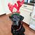 Rodge Hossders's profile image
