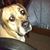 Gale O'Laughlin's profile image