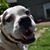 Meg Gampher Halstead's profile image