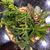 Vicky A. King's profile image