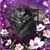 Shawn Broussard's profile image