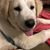 Sarah Felmet's profile image