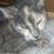 Lynn West Waters's profile image