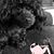 Alex Bracamontes's profile image