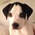 Anna Furlong's profile image