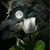 Margarita Diaz's profile image