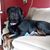 Carol Mastellone's profile image