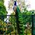 Awil Mohamed's profile image