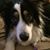 Kristin Pham's profile image