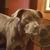 John Mcclung's profile image