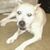 Rob Hopson's profile image