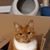 Kelly Coots's profile image
