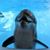 Joy Morrow's profile image