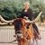 Elaine Sevier's profile image