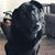 VanessaandRodney Lindbeck's profile image