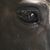 Kristin Lamprecht's profile image