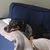Julie E. Campbell's profile image