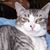 Kathy Bethards's profile image