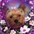 Sue Creegan's profile image