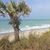 Susan Hix's profile image