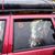 Jose Antonio Fortes's profile image