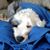 Cheryl Voissem Foth's profile image