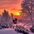 Terri Smith Hileman's profile image