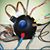 Paul Jeremy Sechler's profile image