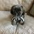 Diane Zajac-Mizsak's profile image