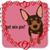 Dawn Marcoux's profile image