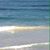 Christine Lotter's profile image
