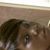 Kristin Henderson's profile image