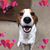 Barb McMahan's profile image