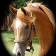 Carol Prosceno's profile image