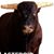 Kathy Kaymark Schrecengost's profile image