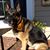 Bonnie B. Wold-Carosiello's profile image