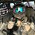 Gilberto Ale's profile image