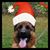 Criadero Von Den Lam's profile image