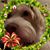 Conny Fornerod-Koenig's profile image