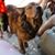 Minnie Lee's profile image