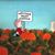 David J. Bell's profile image
