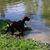 Susan Leonard Baker's profile image