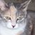 Joanne Graham's profile image