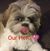 Alison P Morin's profile image