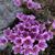 Stefanie Chabert Karnes's profile image