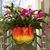 Kim Chariker Taylor's profile image